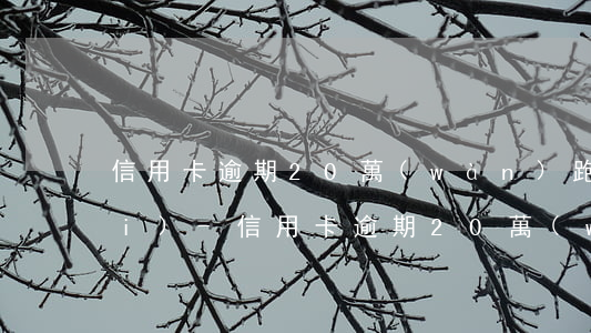信用卡逾期20萬(wàn)跑外賣(mài)-信用卡逾期20萬(wàn)跑外賣(mài)犯法嗎