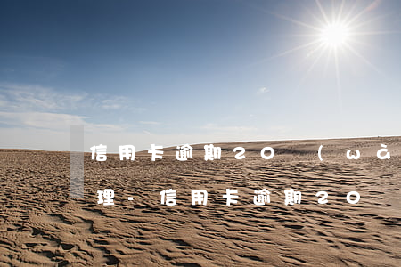 信用卡逾期20萬(wàn)還不起怎么辦理-信用卡逾期20萬(wàn)還不起怎么辦理房貸