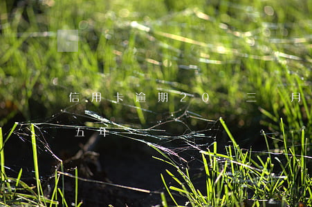 信用卡逾期20萬三個月(三十萬信用卡逾期五年)