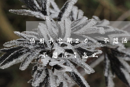 信用卡逾期20萬不想活了(信用卡逾期20萬不想活了怎么辦)