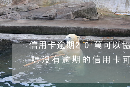 信用卡逾期20萬可以協(xié)商還款嗎(沒有逾期的信用卡可以協(xié)商還款嗎)