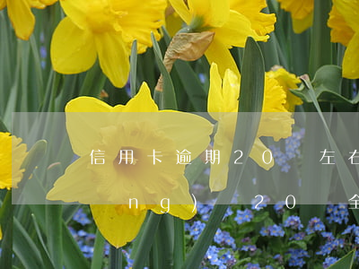 信用卡逾期20萬左右(信用卡20萬網(wǎng)貸20萬全部逾期三個月了)