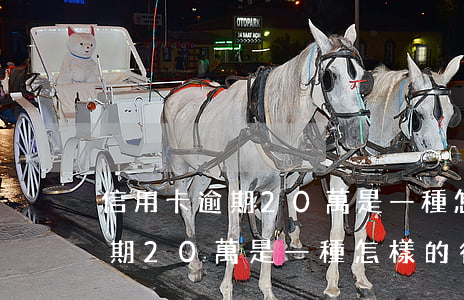 信用卡逾期20萬是一種怎樣的-信用卡逾期20萬是一種怎樣的行為