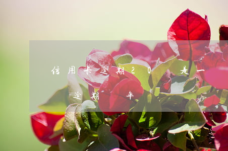 信用卡逾期20萬是一種怎樣的(信用卡20萬逾期兩年)