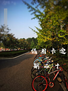 信用卡逾期20萬沒錢還怎么解決(信用卡逾期二十萬以后怎么辦)