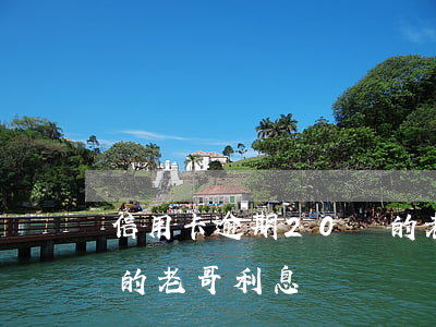 信用卡逾期20萬的老哥 信用卡逾期20萬的老哥利息