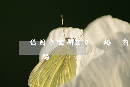 信用卡逾期20萬起訴前兆(信用卡1萬逾期會起訴嗎)