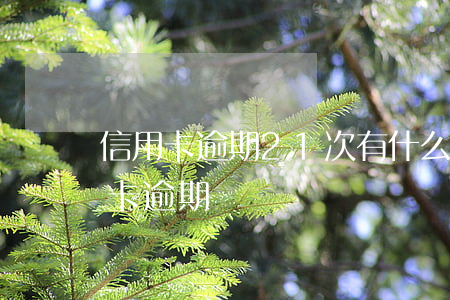 信用卡逾期21次有什么影响吗(十几张信用卡逾期)
