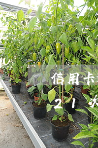 信用卡逾期21次金額還不上-信用卡逾期21次金額還不上會怎樣