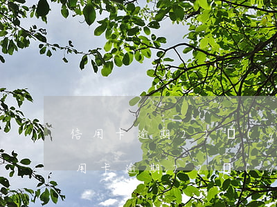 信用卡逾期22個(gè)月車貸能下嗎(信用卡逾期22個(gè)月車貸能下嗎)
