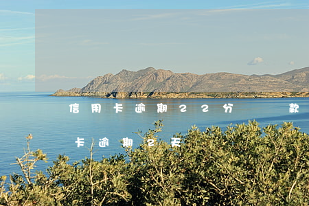信用卡逾期22分鐘還款嗎(2021年信用卡逾期2天)