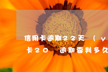 信用卡逾期22天嚴(yán)重嗎-信用卡20萬逾期要判多久