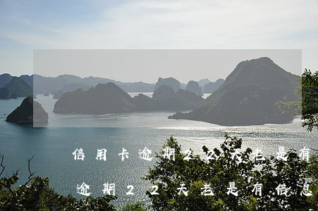 信用卡逾期22天老是有信息騷擾-信用卡逾期22天老是有信息騷擾怎么辦