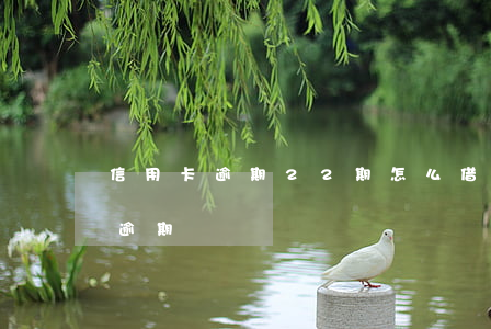 信用卡逾期22期怎么借錢(信用卡20塊錢逾期)
