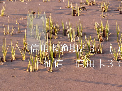 信用卡逾期23個(gè)月會(huì)上征信嗎(信用卡3000逾期會(huì)上征信嗎)