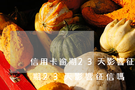信用卡逾期23天影響征信嗎貼吧（信用卡逾期23天影響征信嗎）