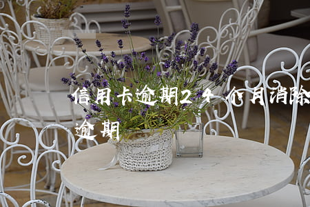 信用卡逾期24个月消除(40万信用卡全部逾期)