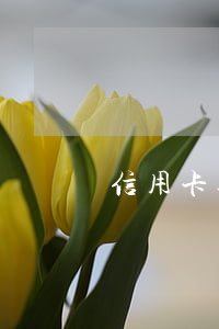 信用卡逾期24個(gè)月可以覆蓋嗎