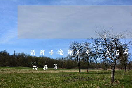 信用卡逾期24個月后果(信用卡逾期20多天后果)