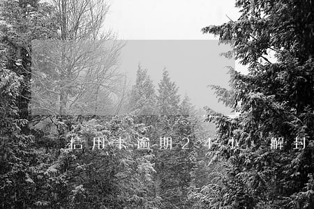 信用卡逾期24小時解封