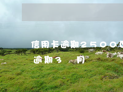信用卡逾期2500四個月(信用卡5000逾期3個月)