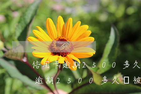 信用卡逾期2500多久會被起訴-信用卡逾期2500多久會被起訴呢