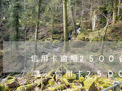 信用卡逾期2500會(huì)被起訴嗎嗎-信用卡2500逾期一個(gè)月要多少錢