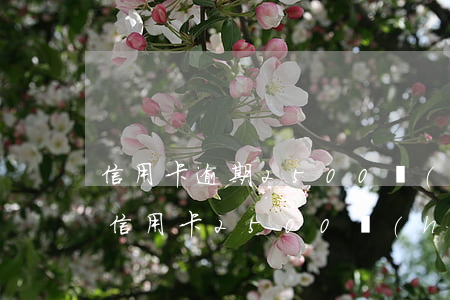 信用卡逾期2500會(huì)起訴嗎 欠信用卡2500會(huì)起訴嗎