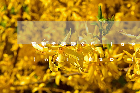 信用卡逾期25個(gè)月(信用卡5年內(nèi)有20個(gè)月逾期)