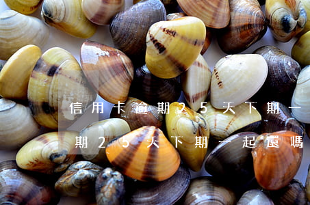 信用卡逾期25天下期一起還嗎-信用卡逾期25天下期一起還嗎怎么辦
