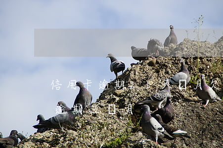 信用卡逾期25天個月欠1萬(欠信用卡5千逾期三個月)