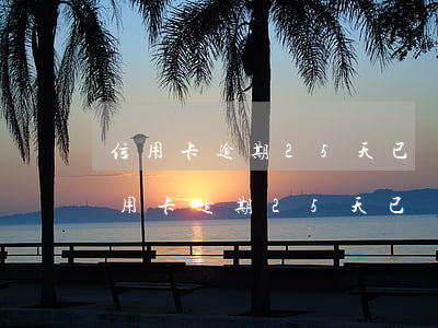 信用卡逾期25天已經(jīng)還款(信用卡逾期25天已經(jīng)還款怎么辦)