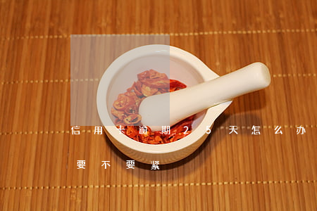 信用卡逾期25天怎么办(信用卡逾期45天要不要紧)