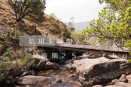 信用卡逾期25天會(huì)上征信(信用卡逾期25天會(huì)上征信嗎)