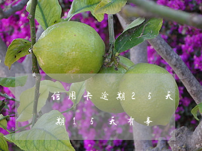信用卡逾期25天會傳票嗎(信用卡20元逾期15天有事嗎)
