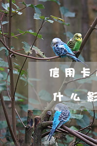 信用卡逾期25天有事嗎(信用卡逾期5天有什么影響)