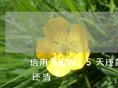 信用卡逾期25天还款(信用卡逾期5个月后还清)