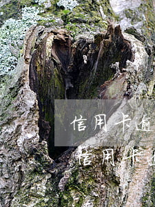 信用卡逾期25次怎么消除(有什么辦法消除信用卡逾期記錄)