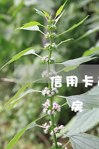信用卡逾期25次辦房貸(信用卡逾期19次辦房貸)