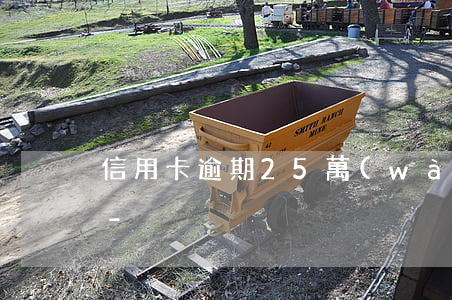 信用卡逾期25萬(wàn)5年后還多少-