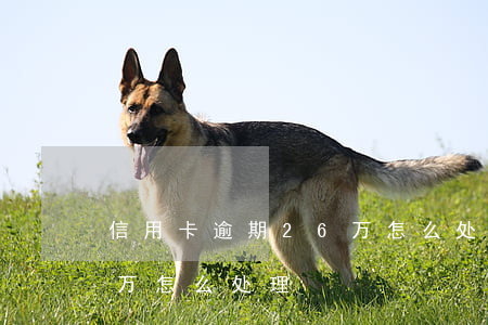 信用卡逾期26万怎么处理 信用卡逾期26万怎么处理
