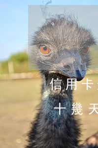 信用卡逾期26天怎么辦(不小心信用卡逾期十幾天關(guān)系大嗎)