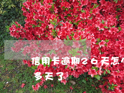 信用卡逾期26天怎么辦(信用卡逾期了60多天了)