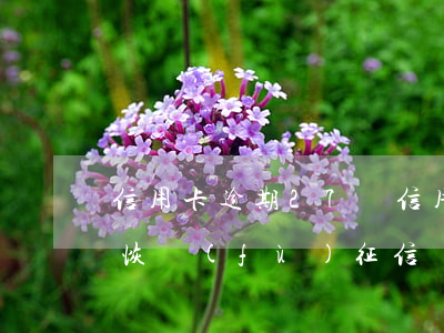 信用卡逾期27塊(信用卡逾期27塊錢怎么恢復(fù)征信)
