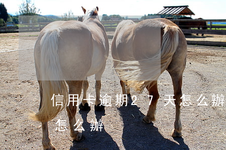 信用卡逾期27天怎么辦（信用卡逾期27天怎么辦）