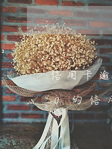 信用卡逾期28000會怎樣(如果25000的信用卡逾期會有多少費(fèi)用)