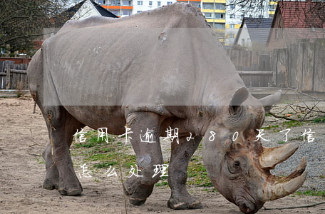 信用卡逾期280天了(信用卡逾期180天怎么处理)