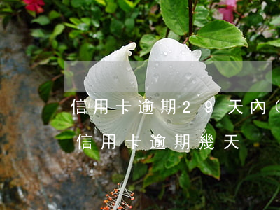 信用卡逾期29天內(nèi)有沒有影響(信用卡 逾期 幾天)