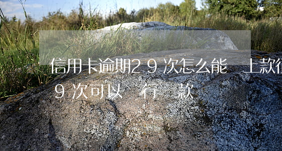信用卡逾期29次怎么能貸上款(征信逾期29次可以銀行貸款嗎)