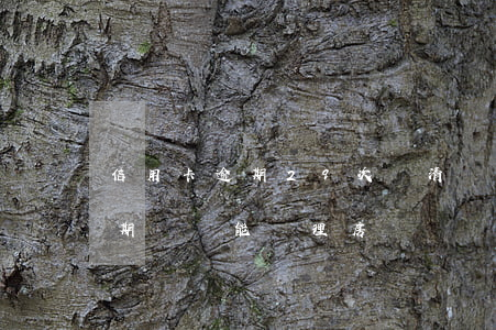 信用卡逾期29次還清買房(有8次信用卡逾期記錄,能辦理房貸嗎)